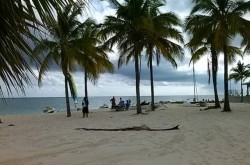 Beaches of the Bahamas