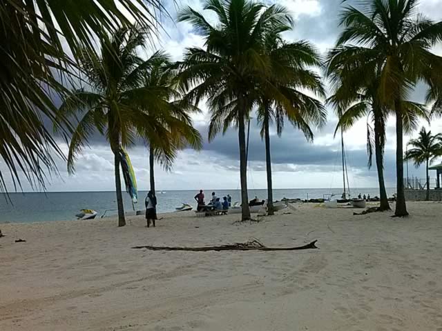 Beaches of the Bahamas