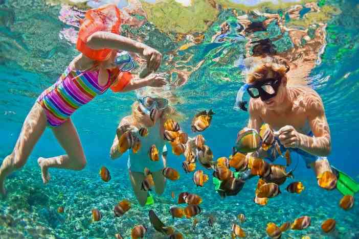 Family in the Bahamas snorkeling with the fish